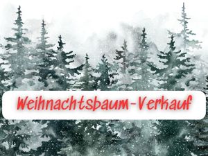 Weihnachtsbaumverkauf Ebikon Ladengasse